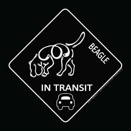 Beagle K-Lines In Transit Magnets