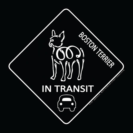 Boston Terrier K-Lines In Transit Magnets