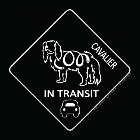Cavalier King Charles K-Lines In Transit Magnets