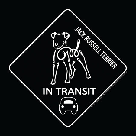 Jack Russell Terrier K-Lines In Transit Magnets