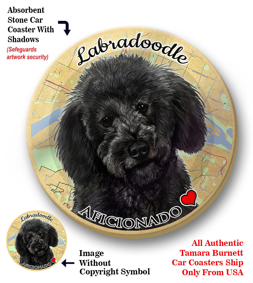 photo of Labradoodle