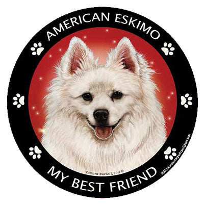 American Eskimo My Best Friend Magnets