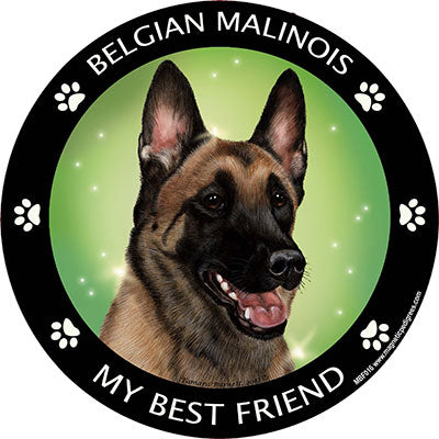 Belgian Malinois My Best Friend Magnets
