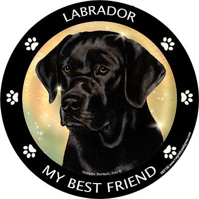 Labrador Retriever My Best Friend Magnets