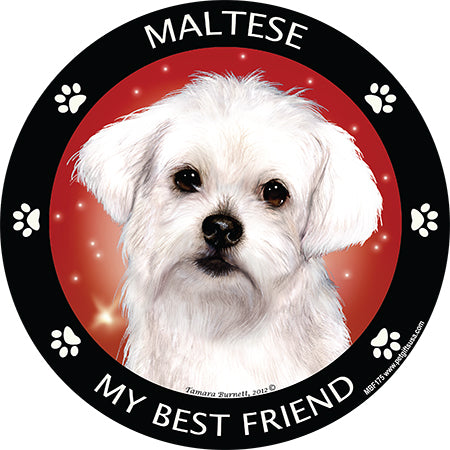 Maltese My Best Friend Magnets
