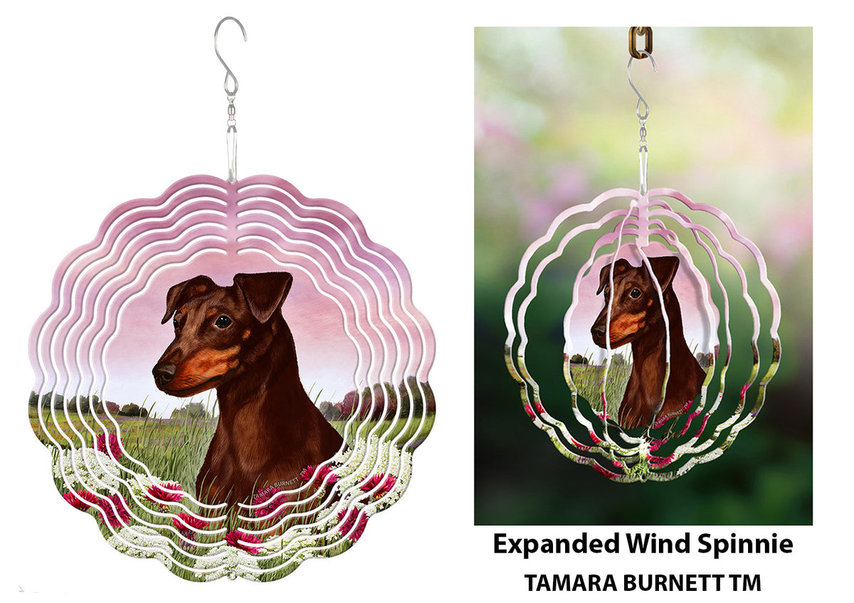 Miniature Pinscher Uncropped Chocolate Wind Spinner