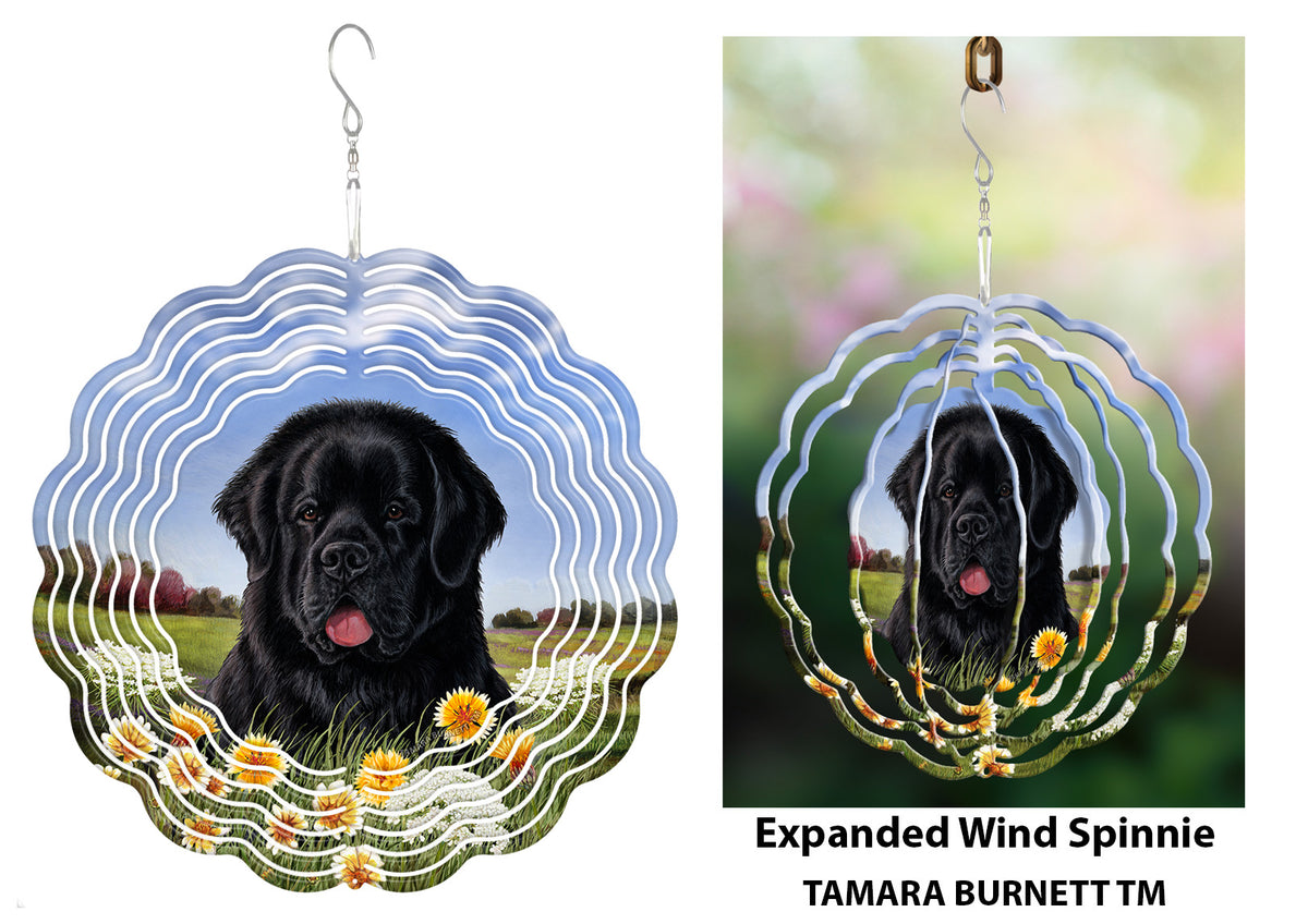Newfoundland Black Wind Spinner