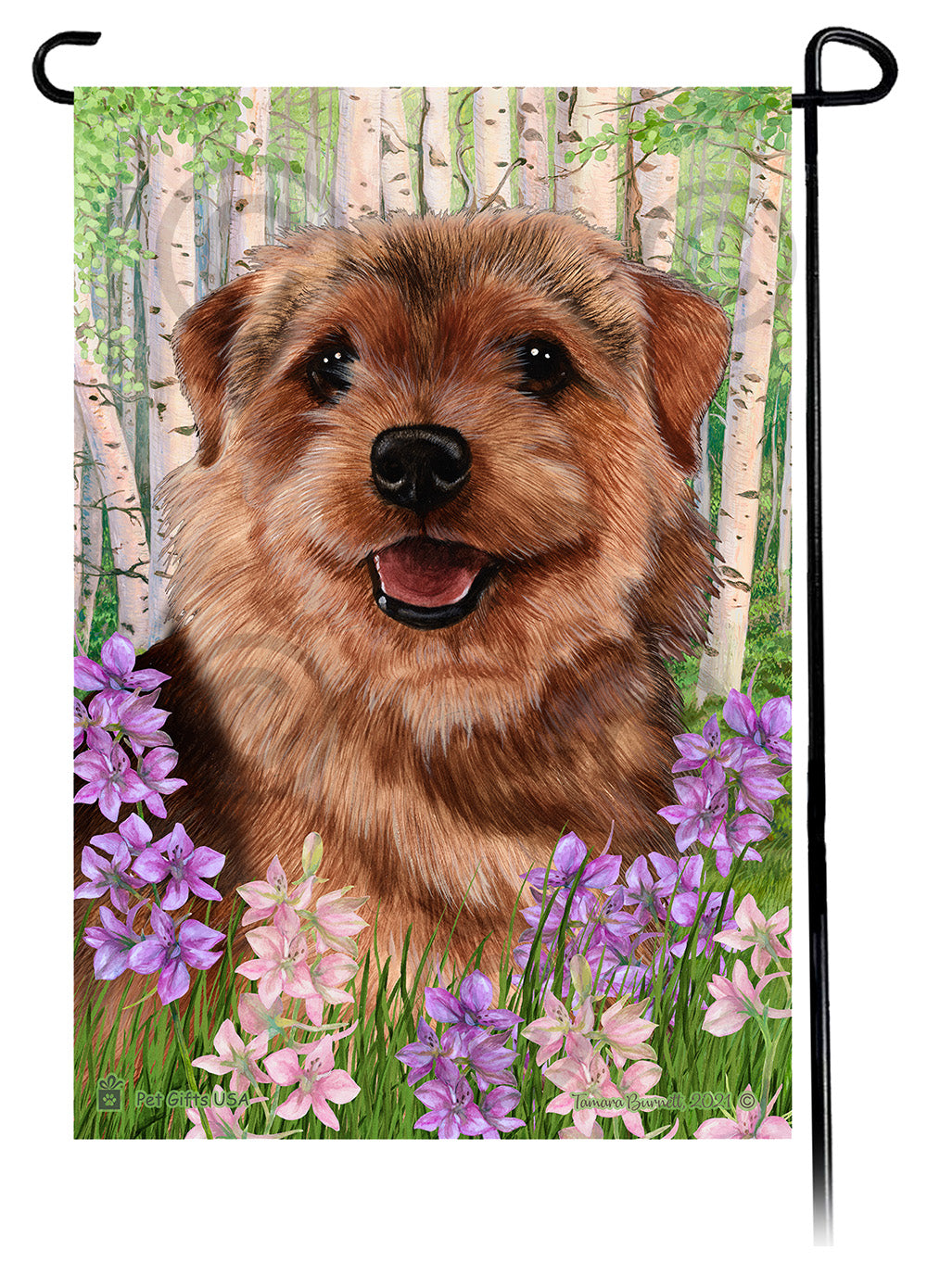 Norfolk Terrier Spring Flowers - Garden Flag