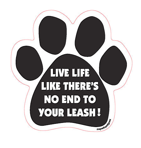Dog Paw Shaped Magnets
