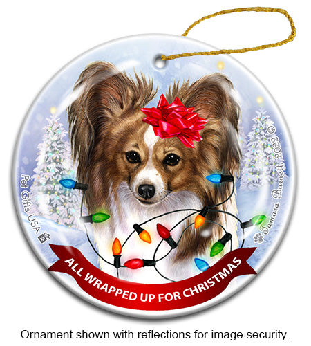 Papillon Sable and White Ornament