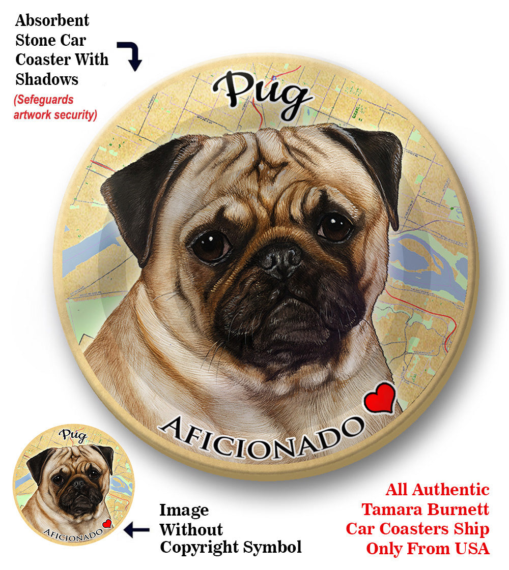 photo of Pug