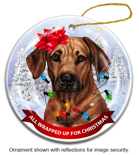 Rhodesian Ridgeback All Wrapped Up Ornament