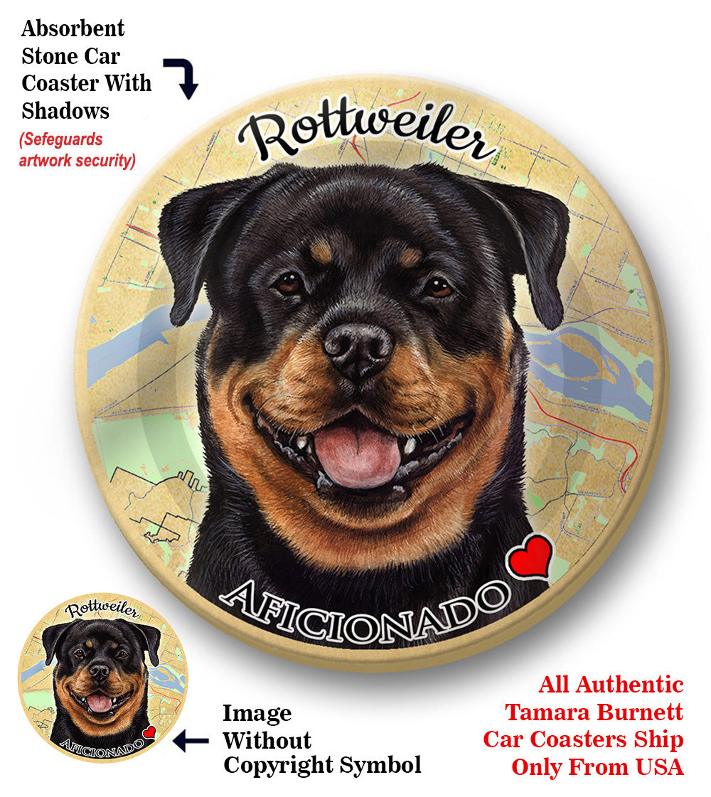 photo of Rottweiler