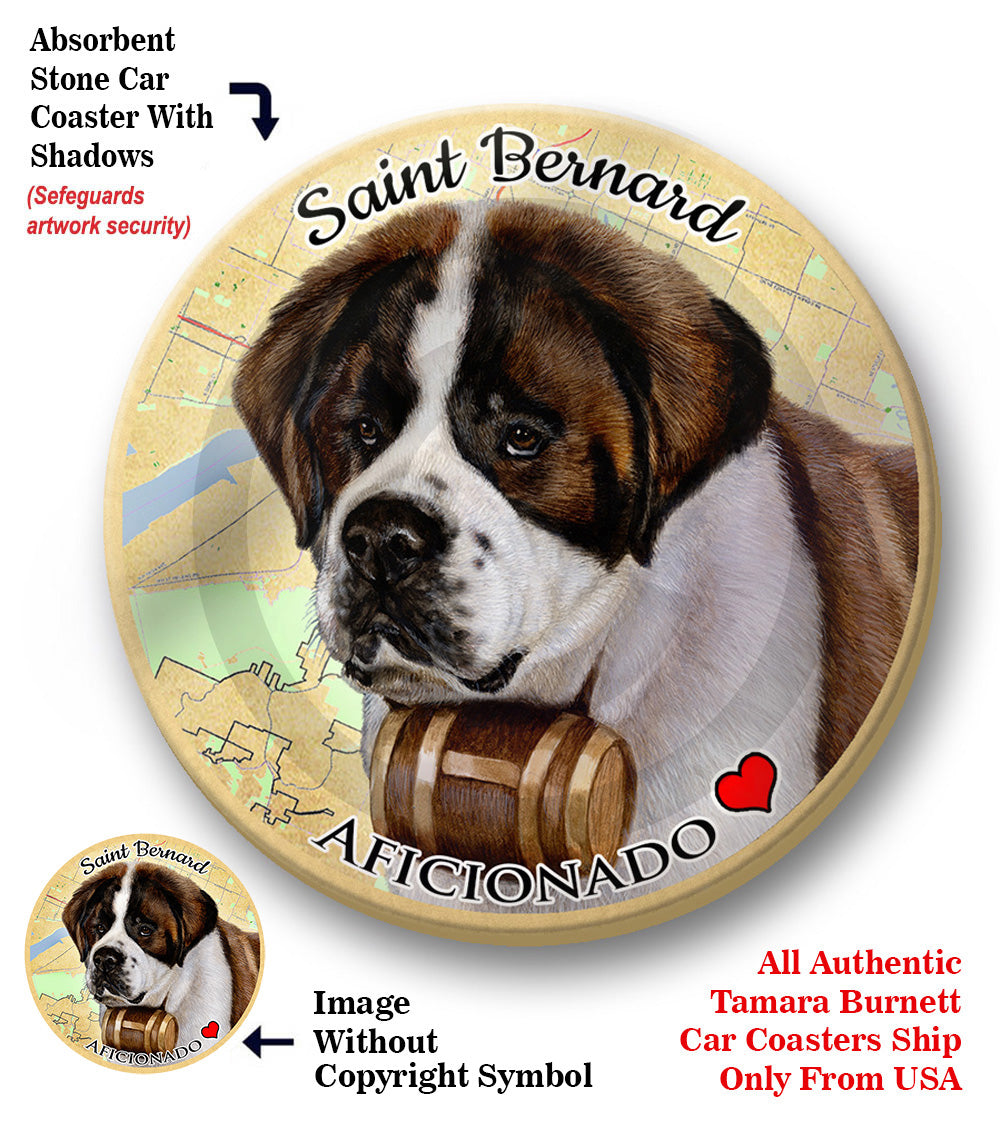 photo of St Bernard
