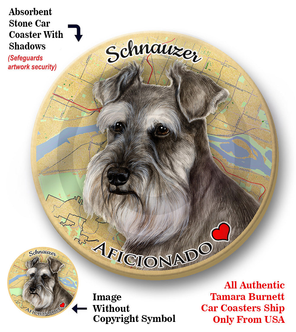 photo of Schnauzer
