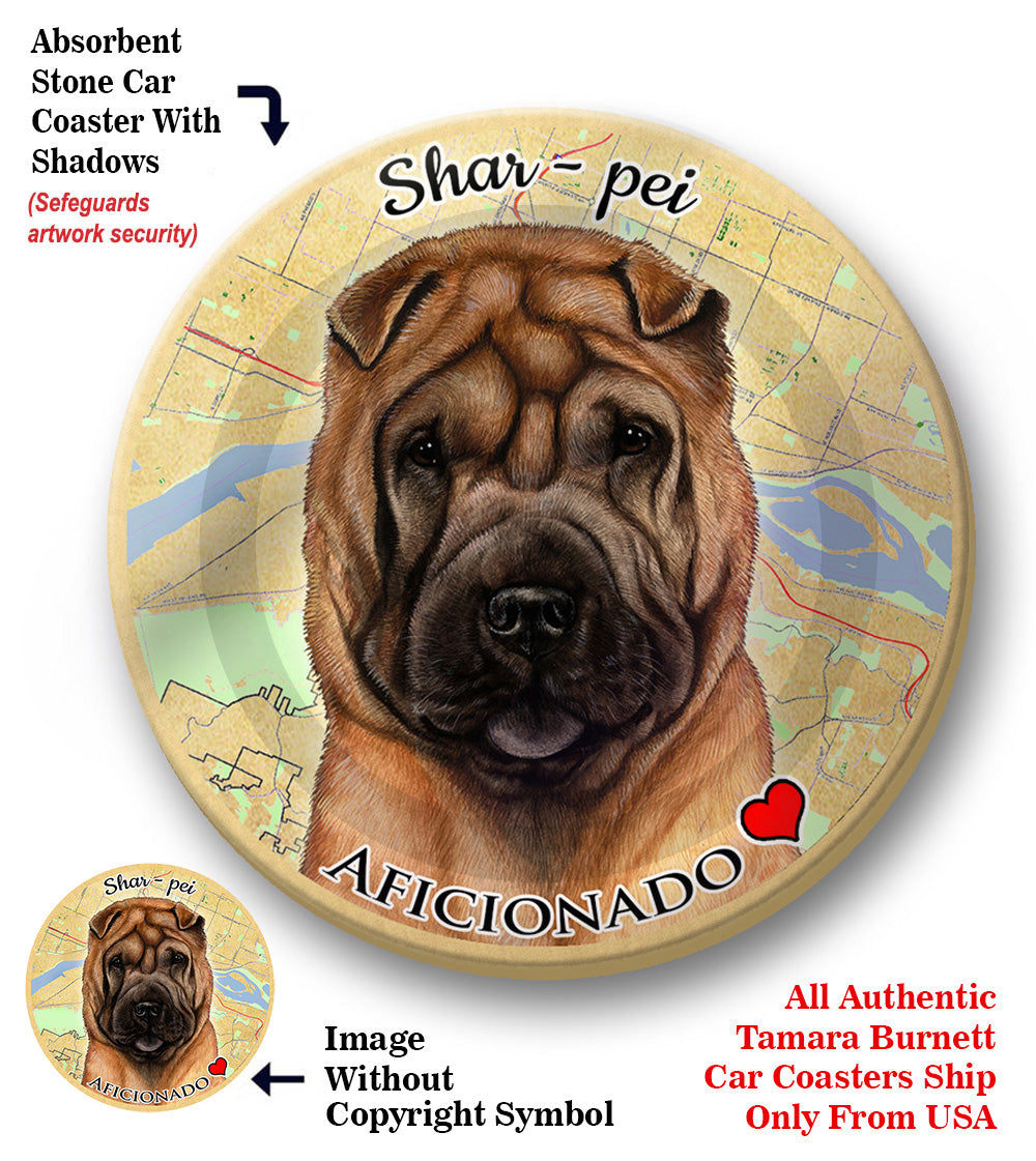 photo of Shar Pei