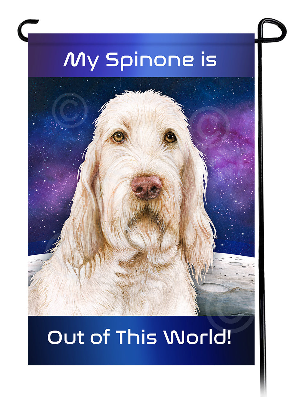 Spinone Italiano Out Of This World - Garden Flag