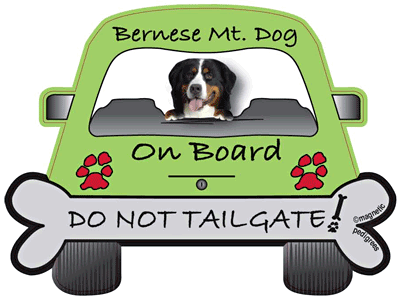 Bernese Mountain Dog Do Not Tailgate Magnets