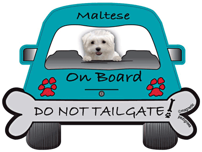Maltese Do Not Tailgate Magnets