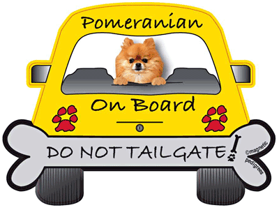Pomeranian Do Not Tailgate Magnets