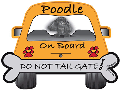 Poodle Do Not Tailgate Magnets