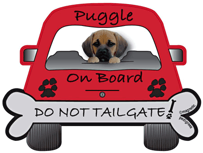 Puggle Do Not Tailgate Magnets