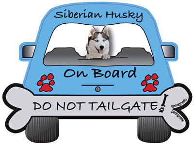 Siberian Husky Do Not Tailgate Magnets