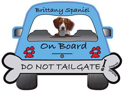 Brittany Spaniel Do Not Tailgate Magnets