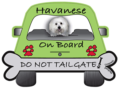 Havanese Do Not Tailgate Magnets