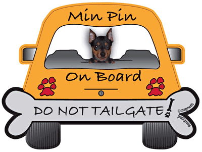 Miniature Pinscher Do Not Tailgate Magnets