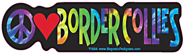 Border Collie Yippie Hippie Bumper Sticker