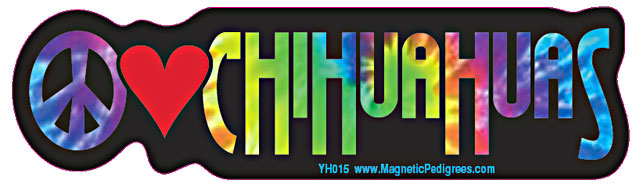 Chihuahua Yippie Hippie Bumper Sticker