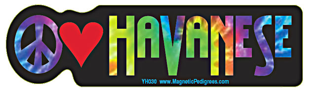 Havanese Yippie Hippie Bumper Sticker