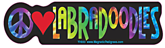Labradoodle Yippie Hippie Bumper Sticker