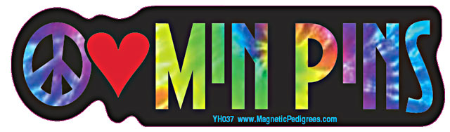 Miniature Pinscher Yippie Hippie Bumper Sticker
