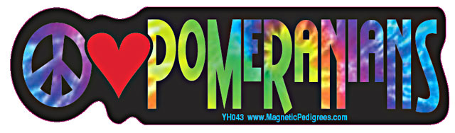 Pomeranian Yippie Hippie Bumper Sticker