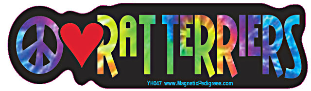 Rat Terrier Yippie Hippie Bumper Sticker