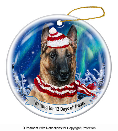 Twelve Days Of Treats Christmas Ornaments