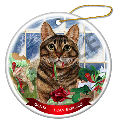 Santa, I Can Explain Christmas Ornaments