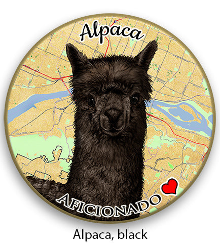 photo of Alpaca