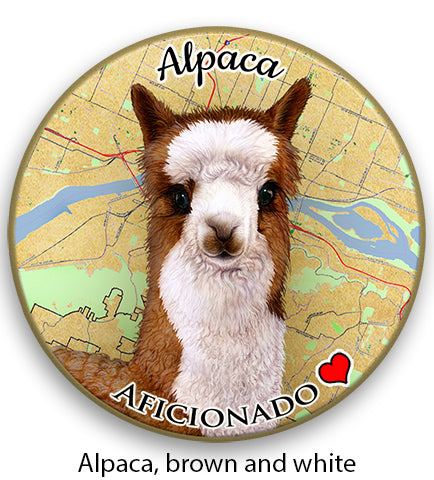 photo of Alpaca