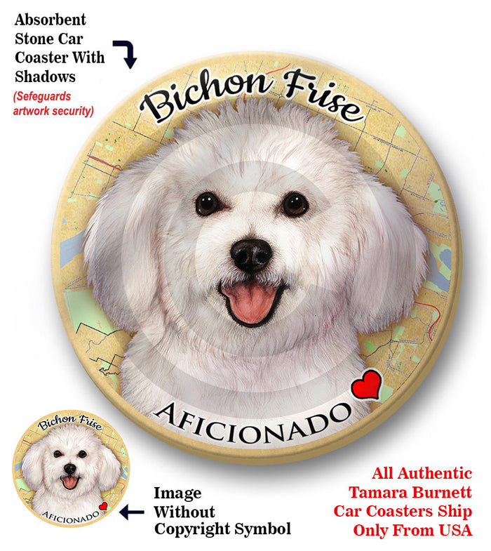 photo of Bichon Frise