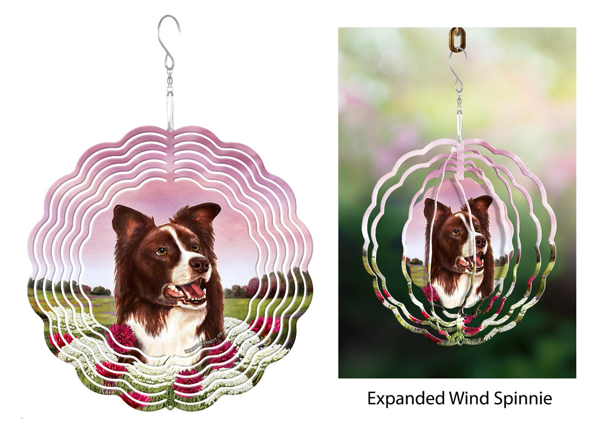 Border Collie Red and White Zoomies Wireless Charger