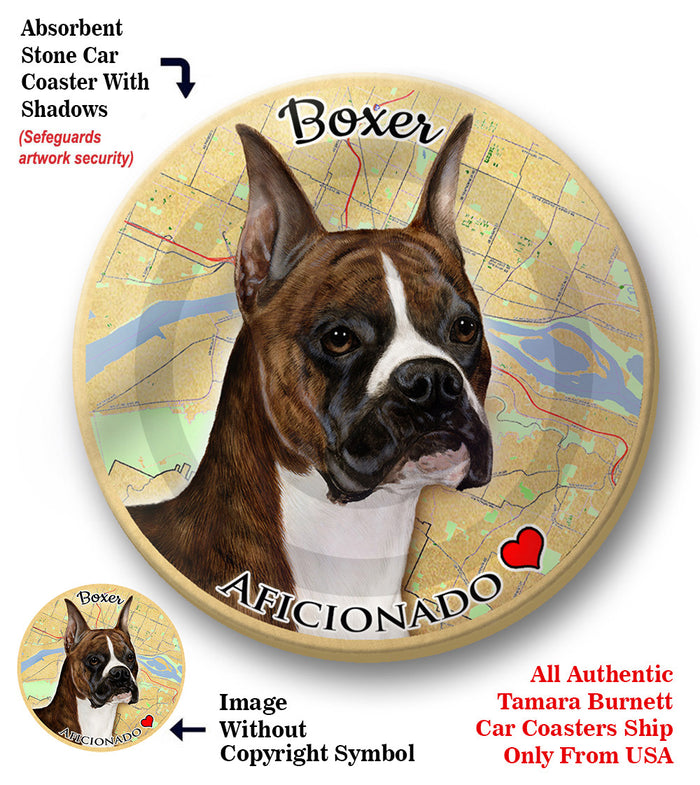 photo of Boxer