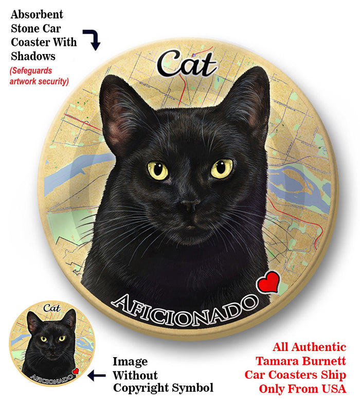 photo of Black Shorthair Cat