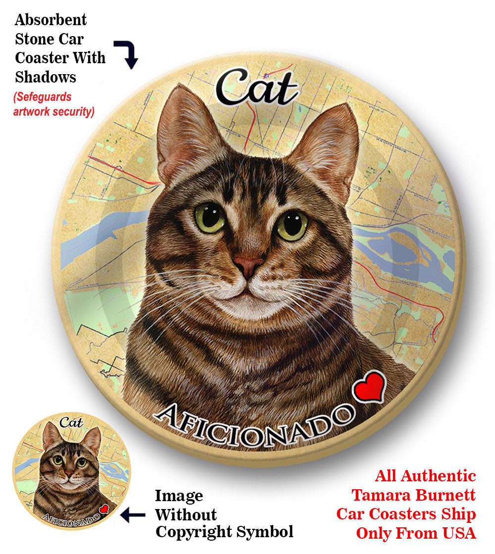 photo of Tabby Cat