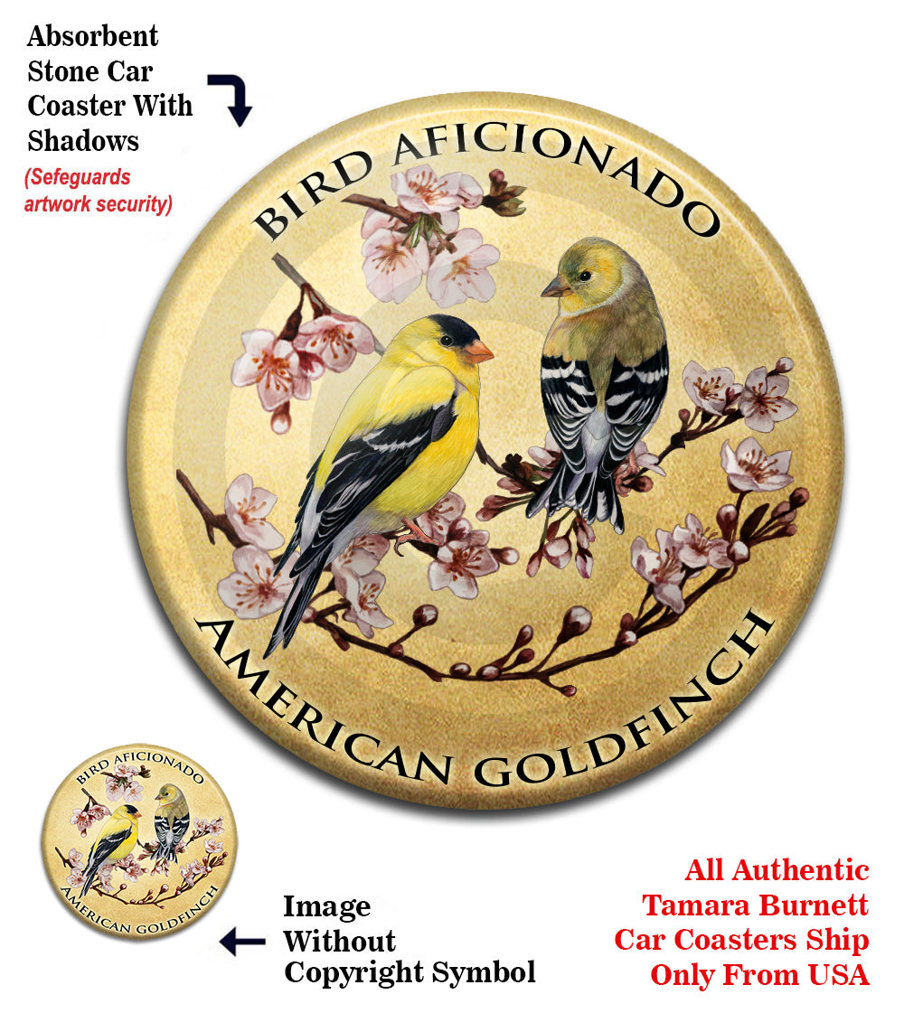 photo of American Goldfinch