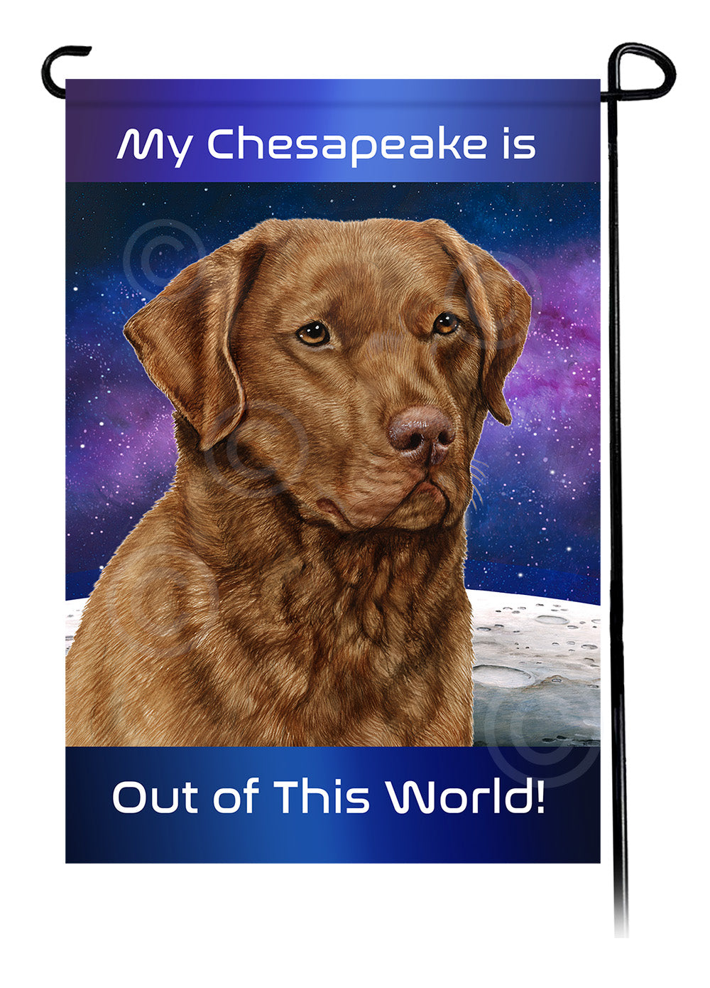 Chesapeake Bay Retriever Out Of This World - Garden Flag