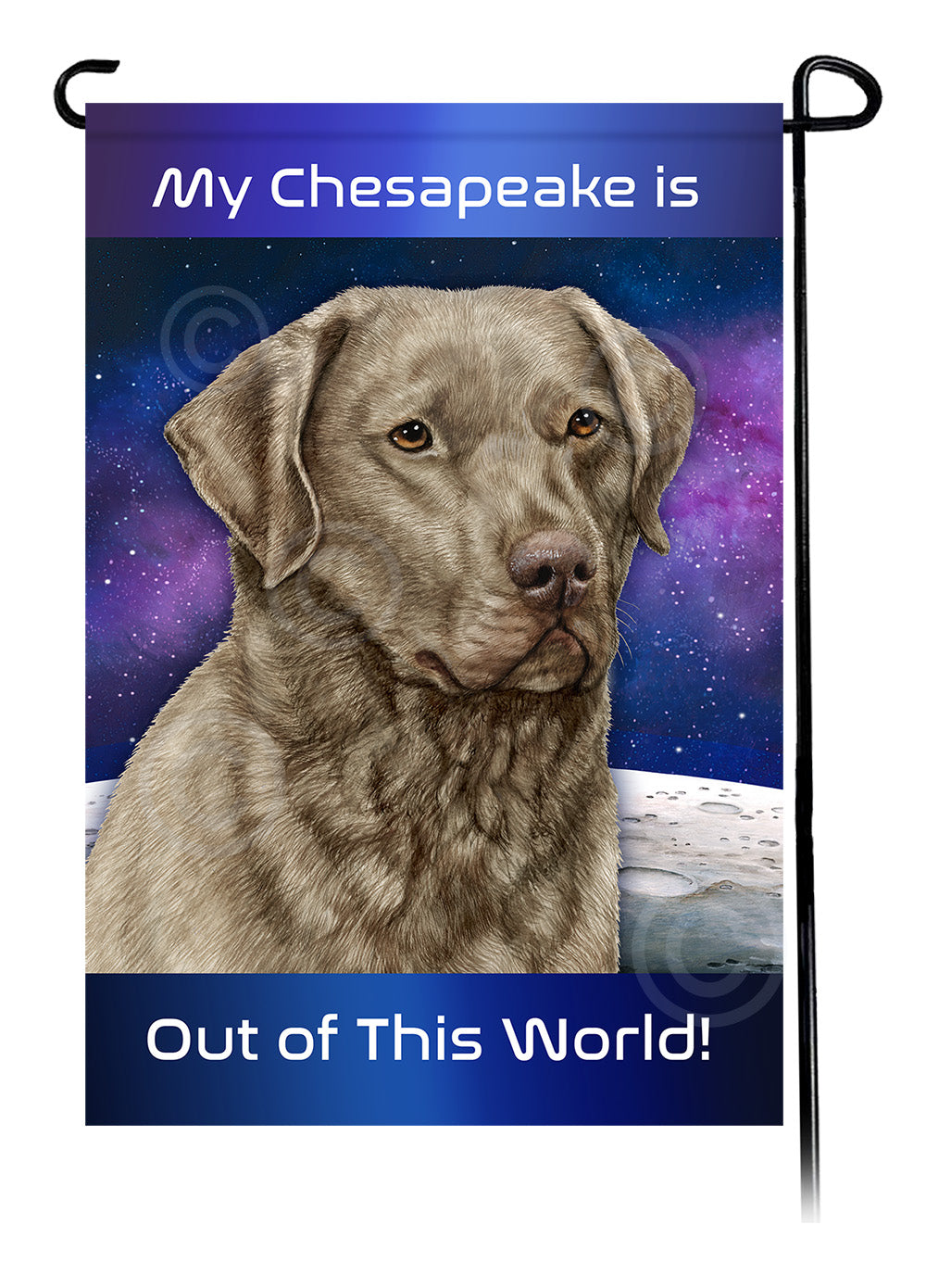 Chesapeake Bay Retriever Out Of This World - Garden Flag