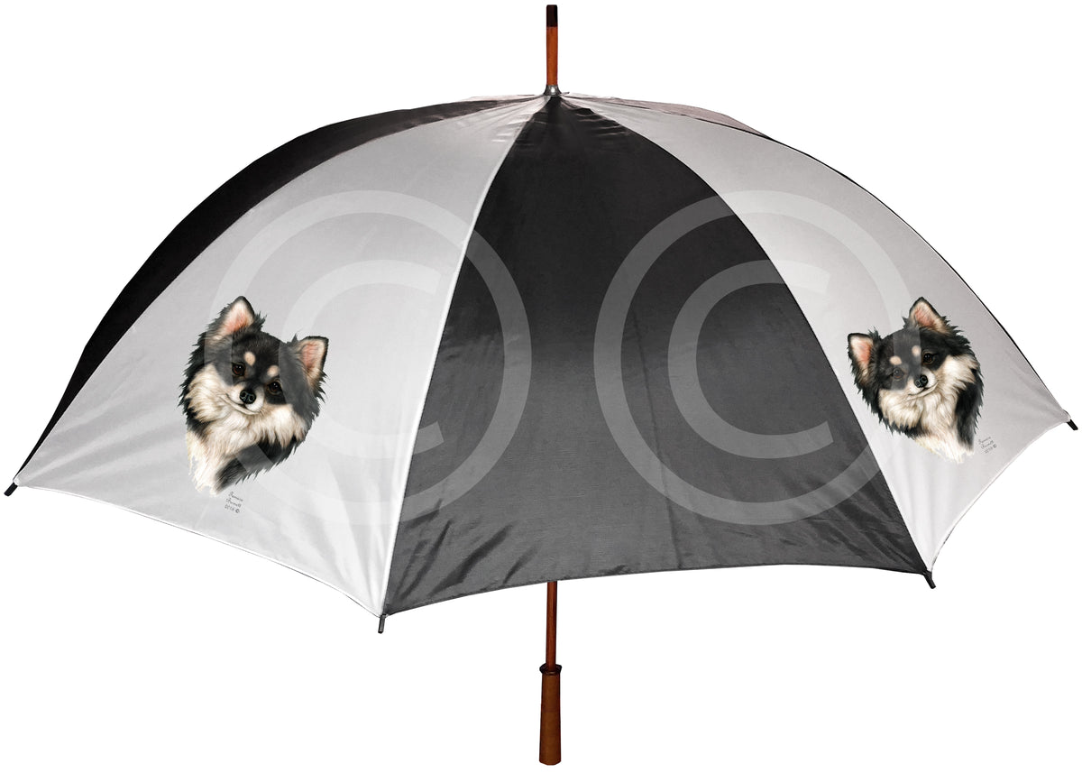 Chihuahua Umbrella